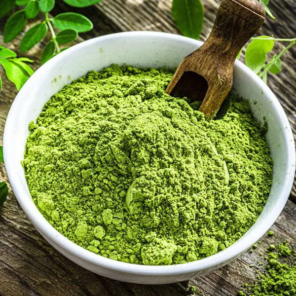 Moringa-Leaf-Powder